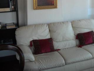 Altana Panoramic